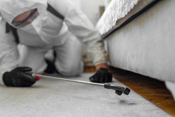 Professional Pest Control technician working in Choudrant, LA