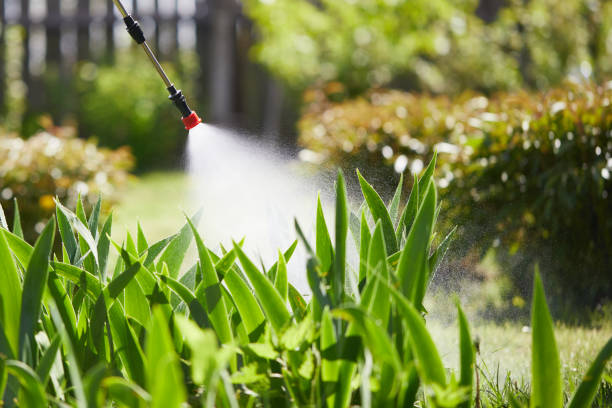 24/7 Emergency Pest Control experts in Choudrant, LA