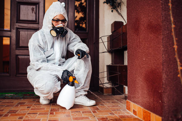 Reliable Pest Control contractor in Choudrant, LA by Nex Pest Control