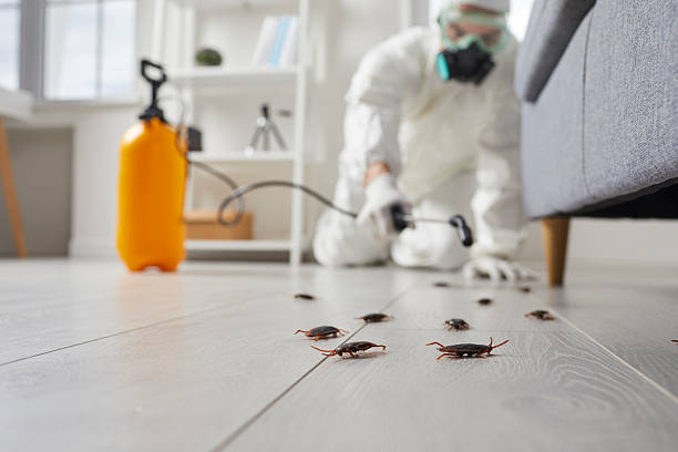 Affordable Pest Control solutions in Choudrant, LA